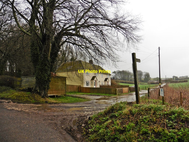 Photo 6"x4" Turning for Hill Barn Farm Wayford c2018