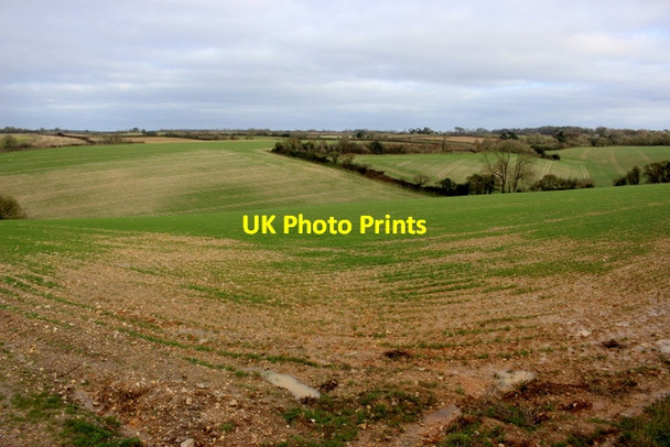 Photo 6"x4" Field of Winter Wheat Axmouth c2018