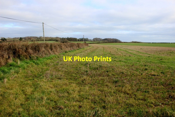 Photo 6"x4" Field near Dowlands Rousdon c2018