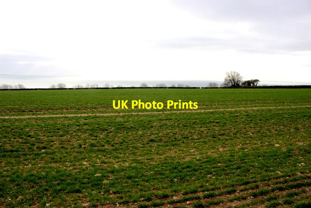 Photo 6"x4" Field near Bindon Landslip Axmouth c2018