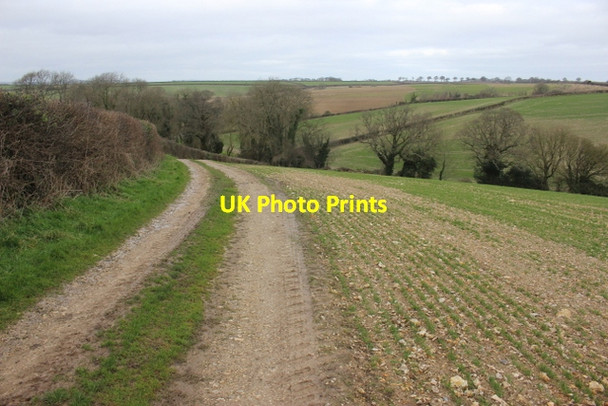 Photo 6"x4" Farm Track Near Bindon Axmouth c2018