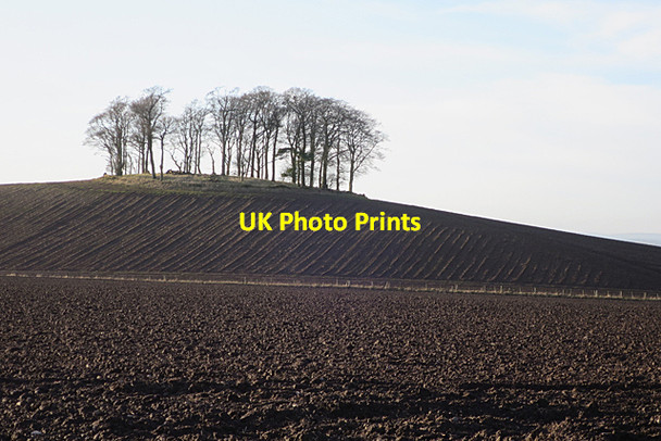 Photo 6"x4" Crook Hill Mains of Melgund c2018