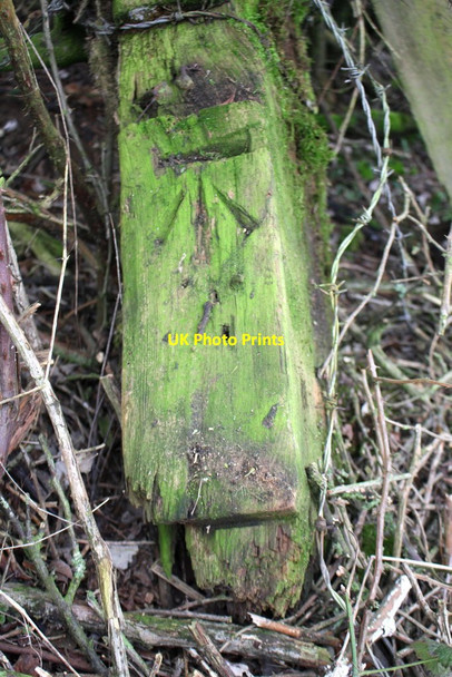 Photo 6"x4" Benchmark on discarded gatepost in Station Road hedge Bletchingdon c2018
