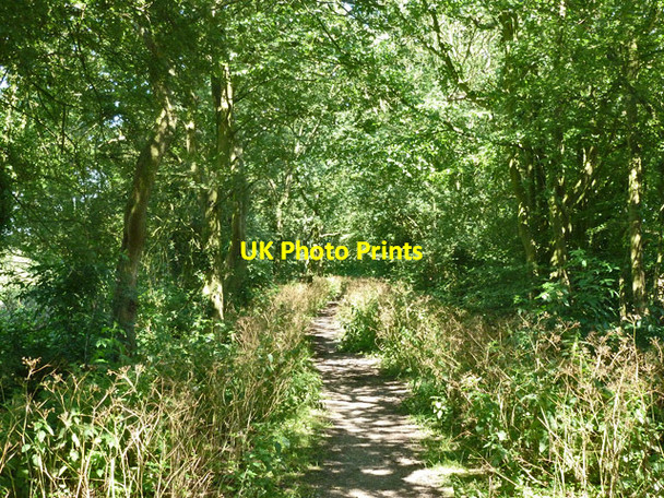 Photo 6"x4" Bridleway, Molehill Common Margaretting Tye c2012