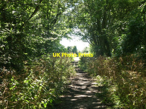 Photo 6"x4" Bridleway, Molehill Common Margaretting Tye c2012 P1