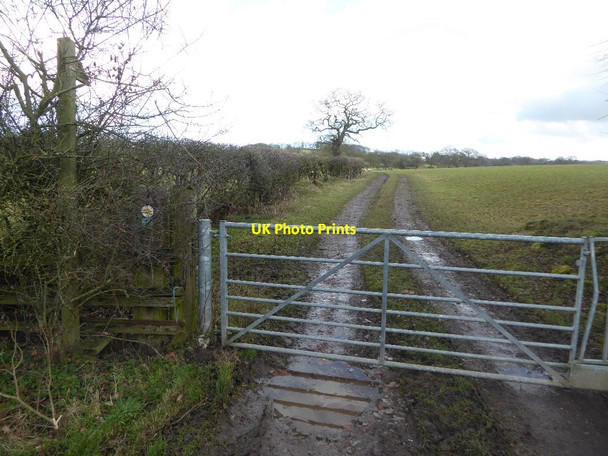 Photo 6"x4" Footpath and field gateway Rowney Green c2018