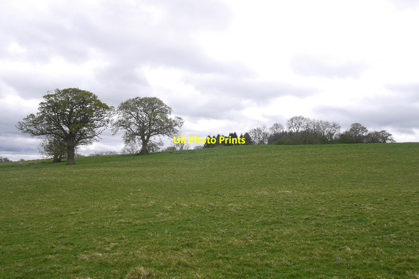 Photo 6"x4" Field, The Plackett Wrickton c2017