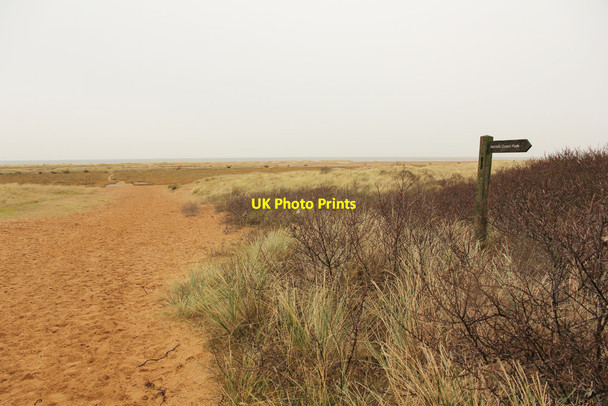 Photo 6"x4" Norfolk Coast Path Holme next the Sea c2018