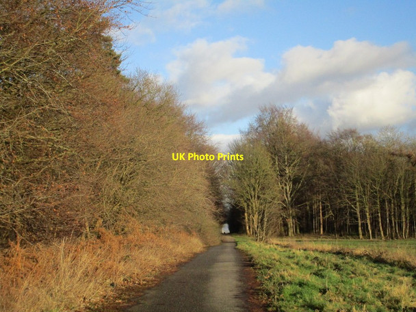 Photo 6"x4" Sturton Lane Greetwell c2018