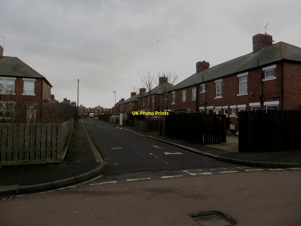 Photo 6"x4" Lane of Kingsley Road, Lynemouth Lynemouth c2018