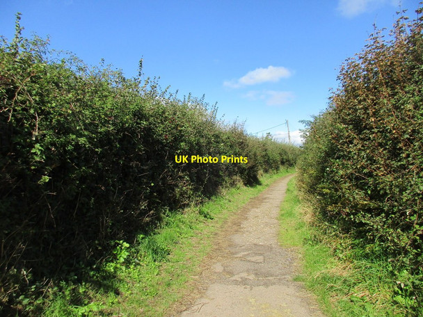 Photo 6"x4" South West Coastal Path Sidmouth c2017