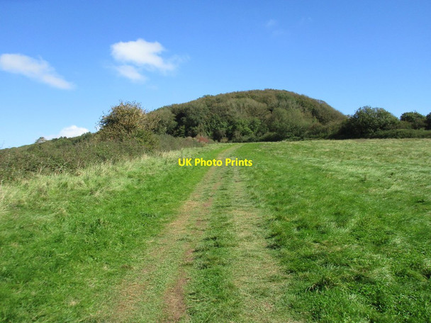 Photo 6"x4" South West Coastal Path Sidmouth c2017