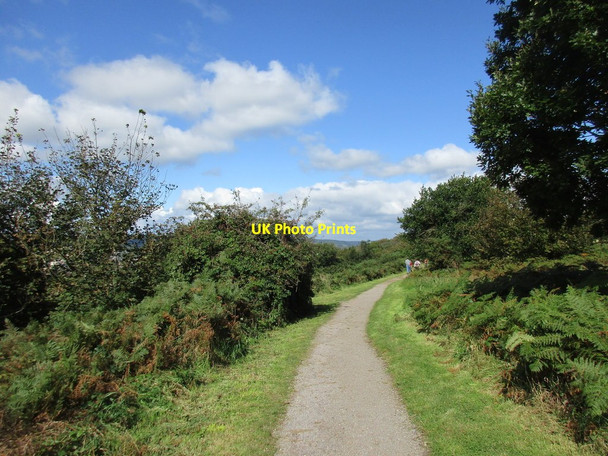 Photo 6"x4" Footpath to Salcombe Regis Sidmouth c2017