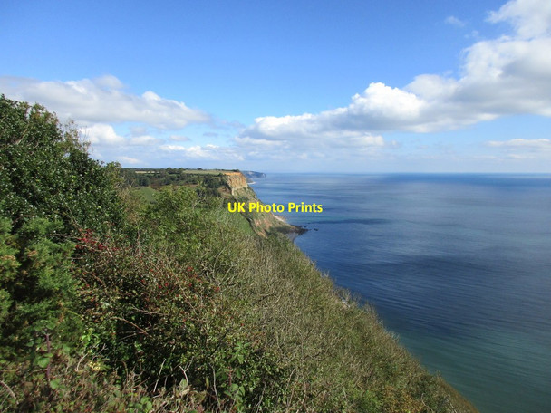 Photo 6"x4" The coast south of Salcombe Regis Sidmouth c2017