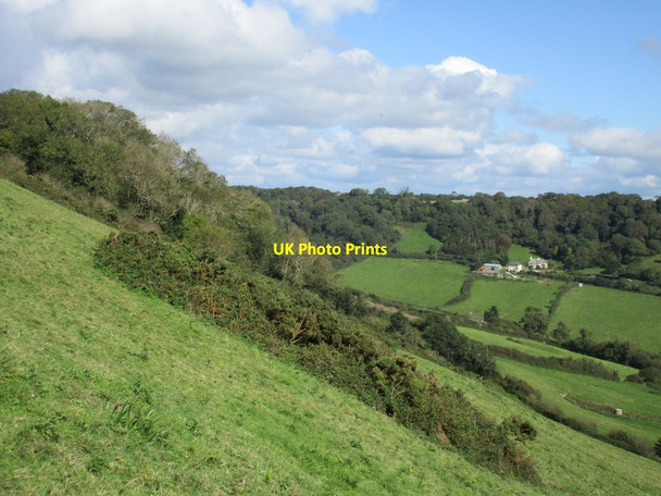 Photo 6"x4" View towards Coombe Wood farm Sidmouth c2017