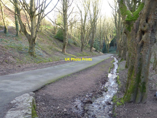 Photo 6"x4" Road to St Ann's well Great Malvern c2018