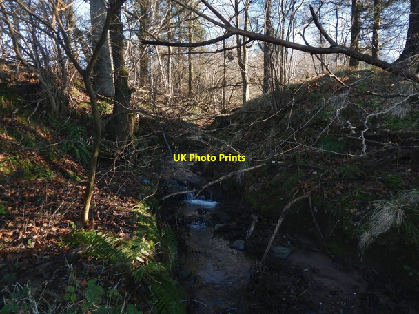 Photo 6"x4" The Red Burn Alexandria c2018