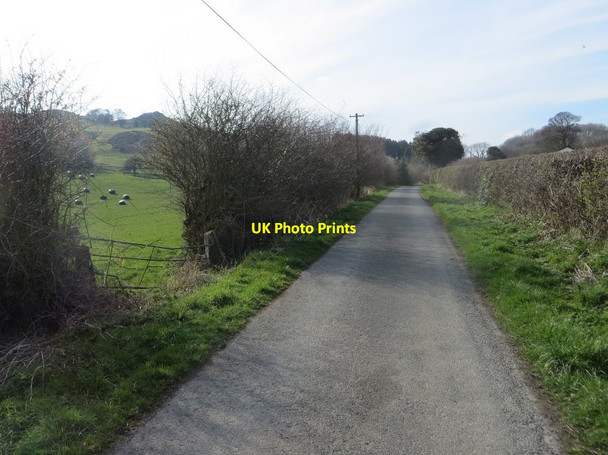 Photo 6"x4" Ffordd Bryngwyn, Nercwys Mold\/Yr Wyddgrug c2014