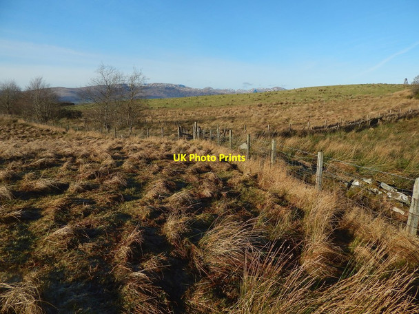 Photo 6"x4" A junction of fences Gartocharn c2018