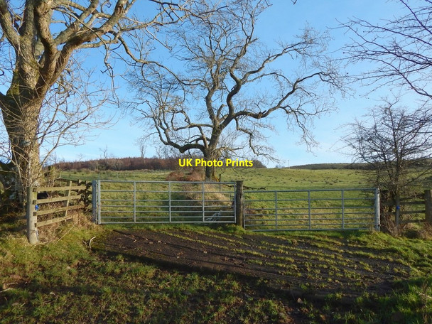 Photo 6"x4" Field gates Gartocharn c2018