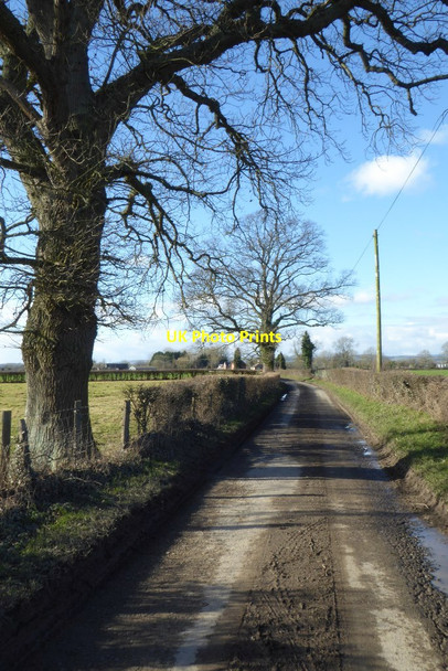 Photo 6"x4" Country road near Twyford Pembridge c2018