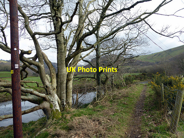 Photo 6"x4" Path beside Afon Rheidol Aberffrwd\/SN6878 c2018