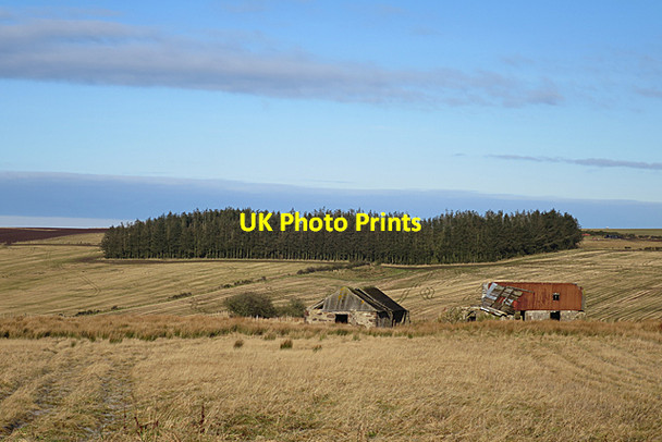 Photo 6"x4" Ruins of a Croft Netherbrae c2018