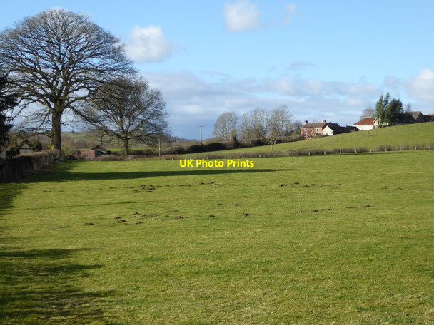Photo 6"x4" Rough Acre, Staunton on Arrow Horseway Head c2018