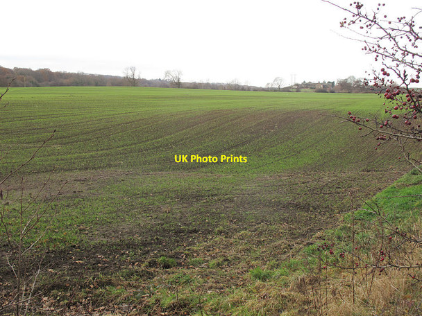 Photo 6"x4" Fields to the south of Langley Lane Park Mill\/SE2511 c2016