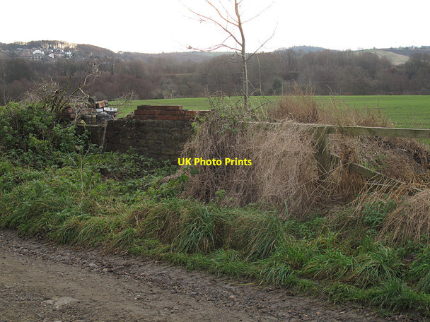 Photo 6"x4" Remains of Far Langley  Park Mill\/SE2511 c2016