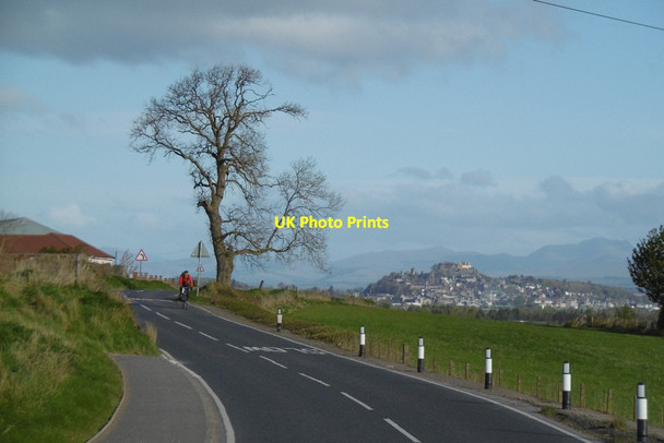 Photo 6"x4" B9124, Easter Greenyards Cowie\/NS8489 c2017