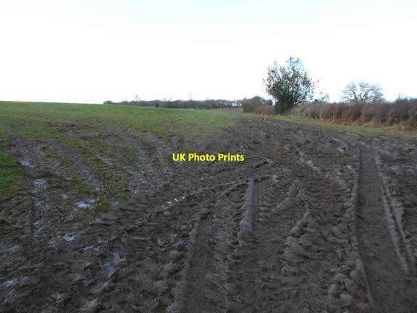 Photo 6"x4" Muddy field entrance Slough\/SO3063 c2018