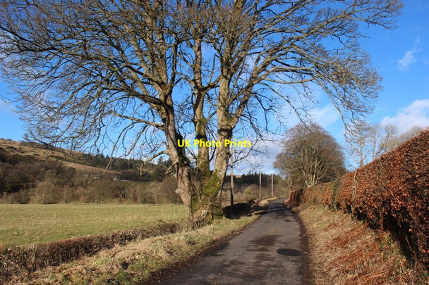 Photo 6"x4" Road through Brisbane Glen at Whittlieburn Meigle\/NS1965 c2018