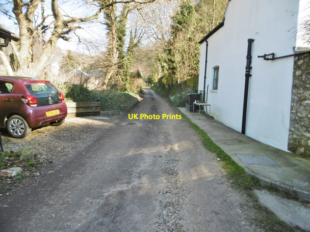 Photo 6"x4" Higher Bockhampton, bridleway Higher Bockhampton c2018