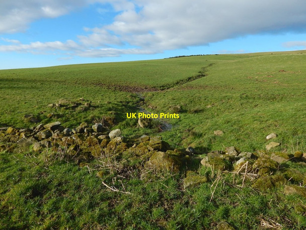 Photo 6"x4" Field at Kipperoch Ardoch\/NS3676 c2018 P1