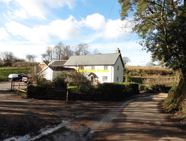 Photo 6"x4" South Linhay Cruwys Morchard c2018
