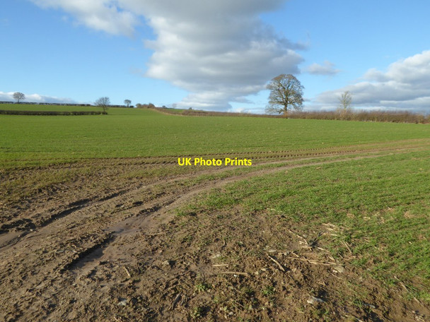 Photo 6"x4" Farmland near Upper Marston Marston\/SO3657 c2018