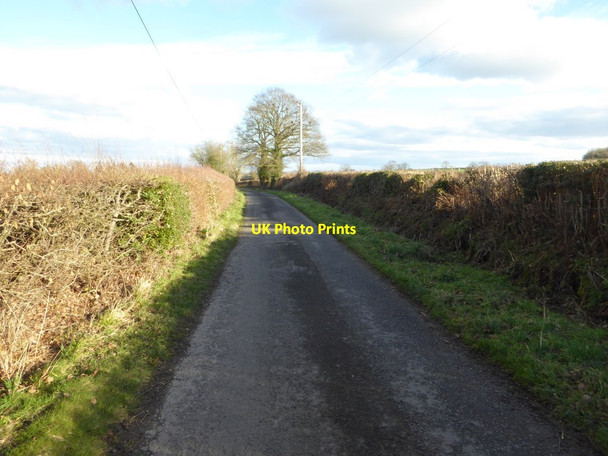 Photo 6"x4" Country road to Lewis Wych Marston\/SO3657 c2018