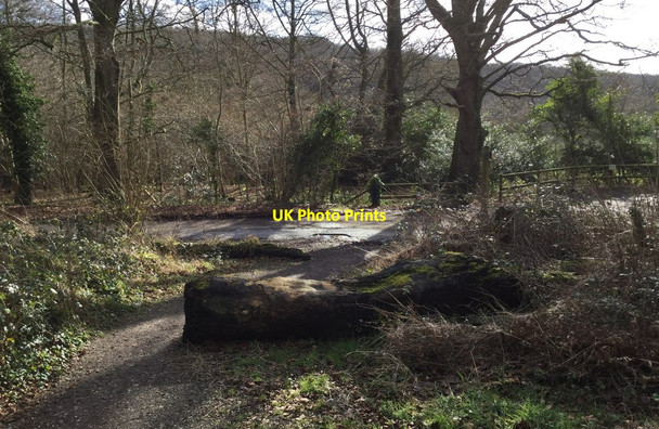 Photo 6"x4" Approaching the Madehurst Road Madehurst c2018