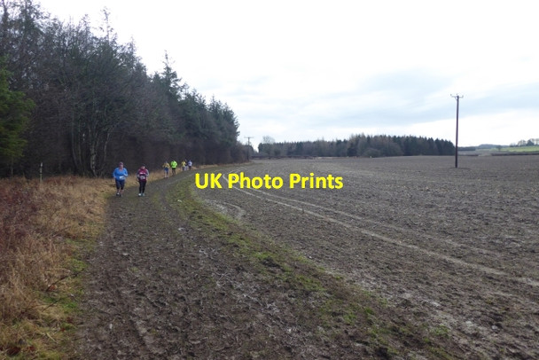 Photo 6"x4" Field to the south of the Laver Ripon c2018
