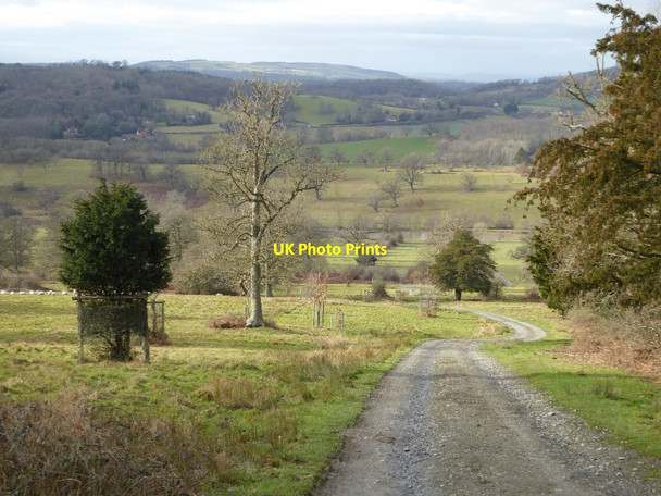 Photo 6"x4" Track in Eastnor Park Eastnor c2018