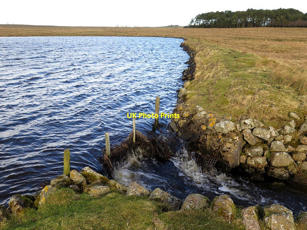 Photo 6"x4" Outlet of Newbrough Burn at Park Dam Newbrough c2018