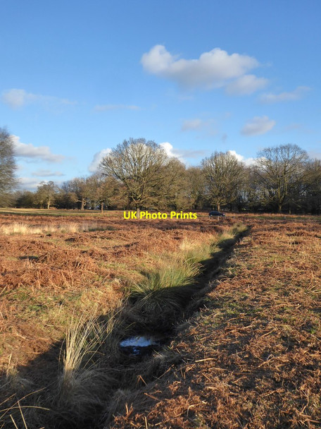 Photo 6"x4" View along a ditch near Broomfield Hill Kingston Upon Thames c2018