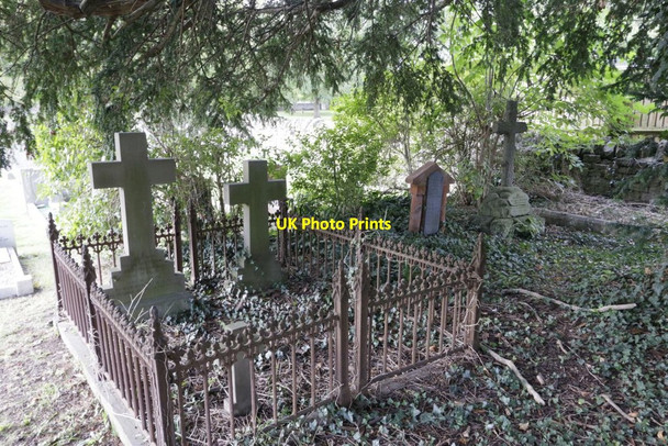 Photo 6"x4" Under the tree Drayton\/SU4794 c2017