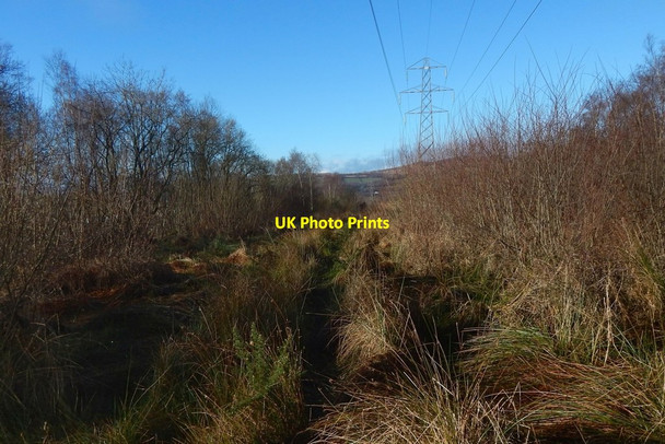 Photo 6"x4" Clear lane in Barr Wood Dumbarton c2018
