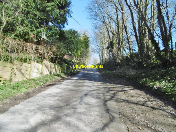 Photo 6"x4" Tolpuddle, Whitehill Tolpuddle c2018