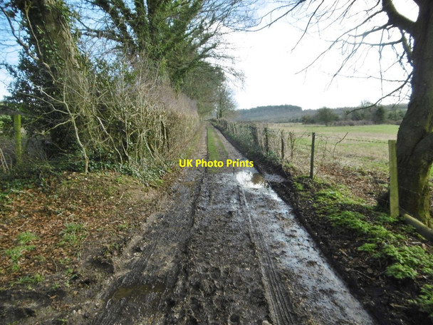 Photo 6"x4" Affpuddle, farm road Briantspuddle c2018