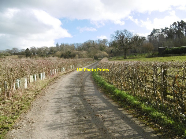 Photo 6"x4" Turners Puddle, farm road Throop c2018