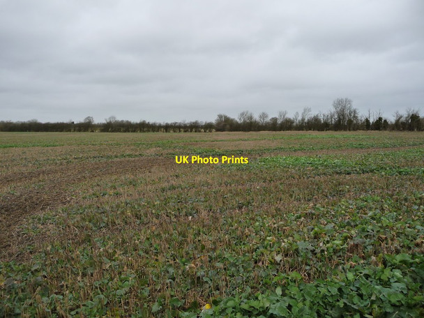 Photo 6"x4" Arable land south of Pottersbury Potterspury c2018