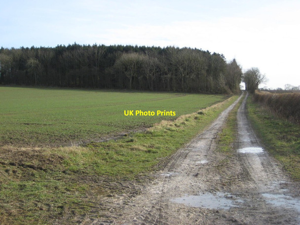 Photo 6"x4" Farm track and Queen Anne Plantation Burnby c2018